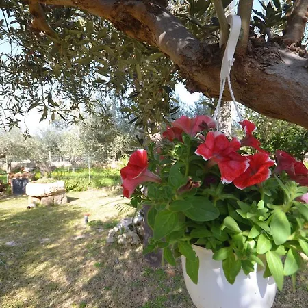 Cascina degli Ulivi-2